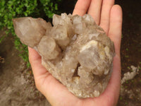 Natural Cascading White Phantom Smokey Quartz Clusters  x 3 From Luena, Congo - Toprock Gemstones and Minerals 