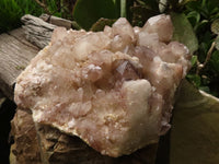 Natural Extra Large Hematoid Floater Crystal  x 1 From Karoi, Zimbabwe - TopRock