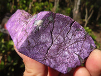 Natural Metallic Purpurite Cobbed Specimens  x 6 From Erongo, Namibia - Toprock Gemstones and Minerals 