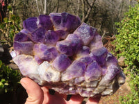 Natural Dark Amethyst Crystal Clusters x 2 From Zambia