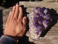 Natural Dark Amethyst Crystal Clusters x 2 From Zambia