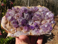 Natural Dark Amethyst Crystal Clusters x 2 From Zambia