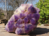 Natural Dark Amethyst Crystal Clusters x 2 From Zambia