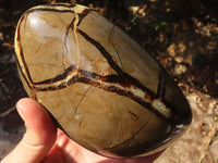 Polished Large Septerye Standing Free Form x 1 From Mahajanga, Madagascar