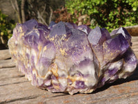 Natural Dark Amethyst Crystal Clusters x 2 From Zambia