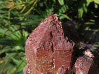 Natural Red Hematoid Clusters x 6 From Karoi, Zimbabwe - TopRock