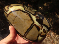 Polished Large Septerye Standing Free Form x 1 From Mahajanga, Madagascar