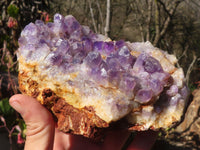 Natural Dark Amethyst Crystal Clusters x 2 From Zambia