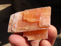 Natural New Sunset Orange Calcite Specimens  x 24 From Spitzkop, Namibia - Toprock Gemstones and Minerals 