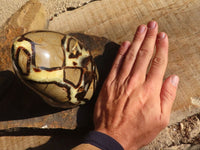 Polished Large Septerye Standing Free Form x 1 From Mahajanga, Madagascar