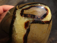 Polished Large Septerye Standing Free Form x 1 From Mahajanga, Madagascar