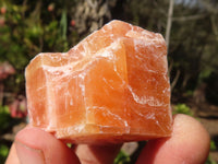 Natural New Sunset Orange Calcite Specimens  x 24 From Spitzkop, Namibia - Toprock Gemstones and Minerals 