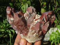 Natural Red Hematoid Clusters x 6 From Karoi, Zimbabwe - TopRock