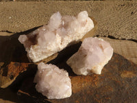 Natural White Cactus Flower Spirit Quartz Specimens x 3 From Boekenhouthoek, South Africa