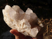 Natural White Cactus Flower Spirit Quartz Specimens x 3 From Boekenhouthoek, South Africa