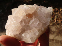 Natural White Cactus Flower Spirit Quartz Specimens x 3 From Boekenhouthoek, South Africa