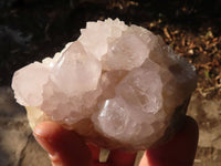 Natural White Cactus Flower Spirit Quartz Specimens x 3 From Boekenhouthoek, South Africa