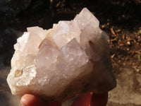 Natural White Cactus Flower Spirit Quartz Specimens x 3 From Boekenhouthoek, South Africa