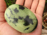 Polished Spotted Leopard Stone Gallets  x 6 From Zimbabwe - Toprock Gemstones and Minerals 