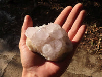 Natural White Cactus Flower Spirit Quartz Specimens x 3 From Boekenhouthoek, South Africa