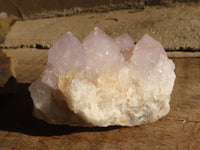 Natural White Cactus Flower Spirit Quartz Specimens x 3 From Boekenhouthoek, South Africa