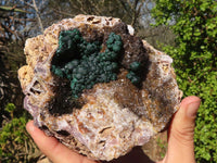 Natural Rare Ball Malachite On Drusy Quartz & Dolomite Matrix  x 1 From Kambove, Congo - Toprock Gemstones and Minerals 