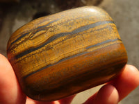 Polished Golden Tigers Eye Free Forms x 6 From Prieska, Northern Cape