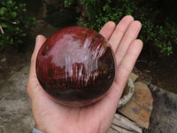 Polished Petrified Red Podocarpus Wood Spheres  x 2 From Madagascar - TopRock