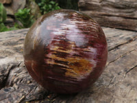 Polished Petrified Red Podocarpus Wood Spheres  x 2 From Madagascar - TopRock