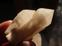 Natural Single Pineapple Candle Quartz Crystals  x 31 From Madagascar