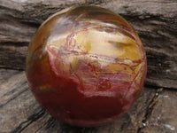 Polished Petrified Red Podocarpus Wood Spheres  x 2 From Madagascar - TopRock