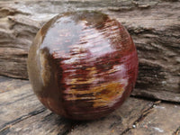 Polished Petrified Red Podocarpus Wood Spheres  x 2 From Madagascar - TopRock