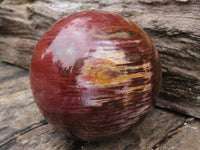 Polished Petrified Red Podocarpus Wood Spheres  x 2 From Madagascar - TopRock