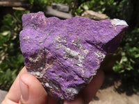 Natural Selected Purpurite Cobbed Specimens  x 8 From Namibia - TopRock