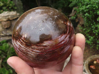 Polished Petrified Red Podocarpus Wood Spheres  x 2 From Madagascar - TopRock