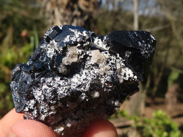 Natural Schorl Black Tourmaline Specimens  x 12 From Erongo, Namibia - Toprock Gemstones and Minerals 