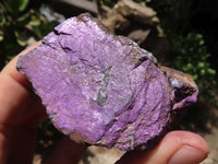 Natural Selected Purpurite Cobbed Specimens  x 8 From Namibia - TopRock