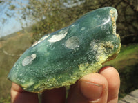 Polished Green Mtorolite Chrome / Emerald Chrysoprase Slices  x 35 From Mutorashanga, Zimbabwe - TopRock