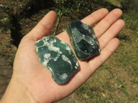 Polished Green Mtorolite Chrome / Emerald Chrysoprase Slices  x 35 From Mutorashanga, Zimbabwe - TopRock