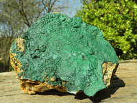 Natural Micro Botryoidal Crystalline Malachite Specimens  x 3 From Congo