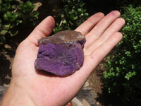 Natural Selected Purpurite Cobbed Specimens  x 8 From Namibia - TopRock