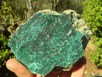 Natural Micro Botryoidal Crystalline Malachite Specimens  x 3 From Congo