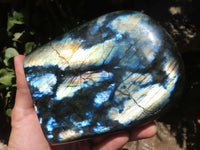 Polished Labradorite Standing Free Forms With Intense Blue & Gold Flash x 2 From Tulear, Madagascar - TopRock