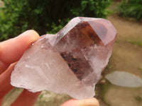 Natural Red Hematite Quartz Crystals  x 12 From Karoi, Zimbabwe - Toprock Gemstones and Minerals 