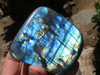 Polished Labradorite Standing Free Forms With Intense Blue & Gold Flash x 2 From Tulear, Madagascar - TopRock