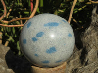 Polished Blue Spotted Spinel Spheres x 6 From Madagascar - TopRock