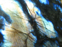 Polished Labradorite Standing Free Forms With Intense Blue & Gold Flash x 2 From Tulear, Madagascar - TopRock