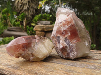 Natural Red Hematite Quartz Crystals  x 12 From Karoi, Zimbabwe - Toprock Gemstones and Minerals 