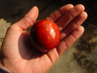 Polished Carnelian Agate Spheres  x 6 From Madagascar