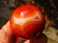 Polished Carnelian Agate Spheres  x 6 From Madagascar